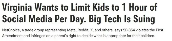 Virginia's Social Media Age Verification Law: Protection or Precedent for Digital ID Checkpoints?