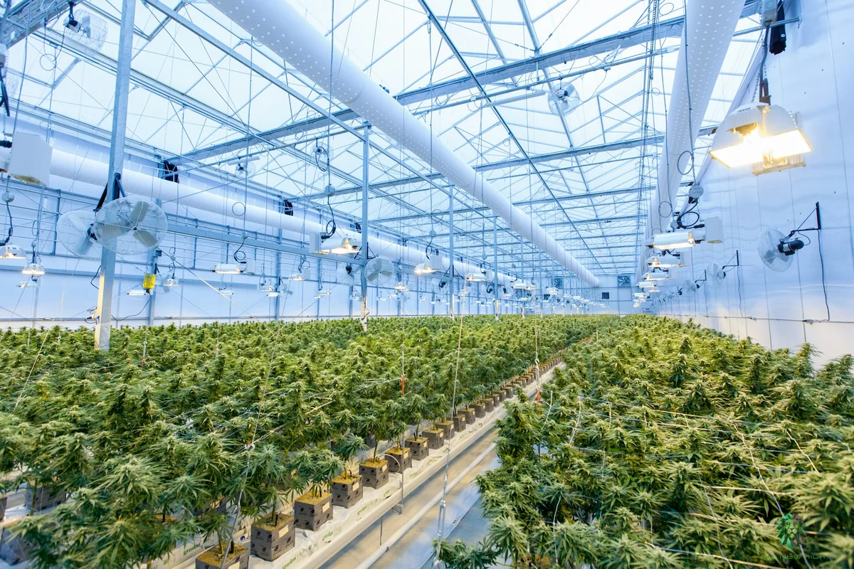 The Complete Guide to Cannabis Business Security: Why Traditional Risk Assessment Tools Fall Short