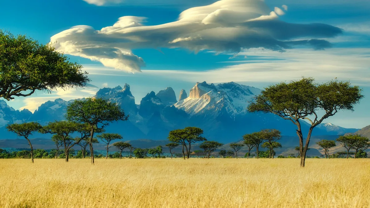 Cybersecurity in Africa: Navigating Threats, Trends, and the Tech Landscape